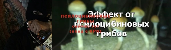 ALPHA PVP Беломорск