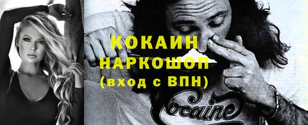 гидра Белокуриха
