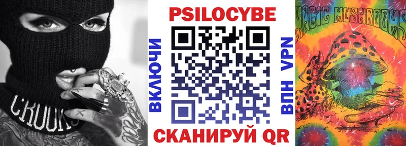 Псилоцибиновые грибы Psilocybe  где продают   Шумиха 